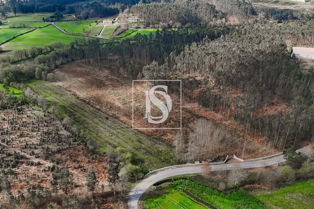Terreno para Venda em Arca e Ponte de Lima Foto 15