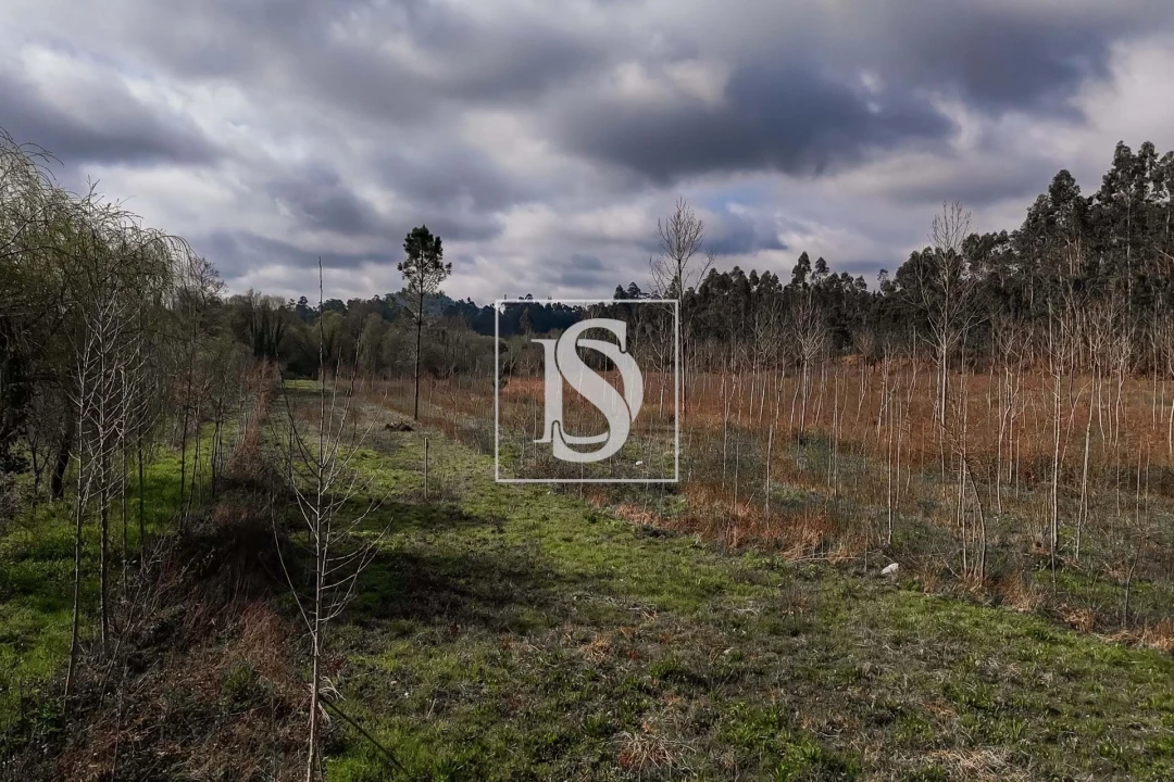 Terreno para Venda em Arca e Ponte de Lima Foto 23