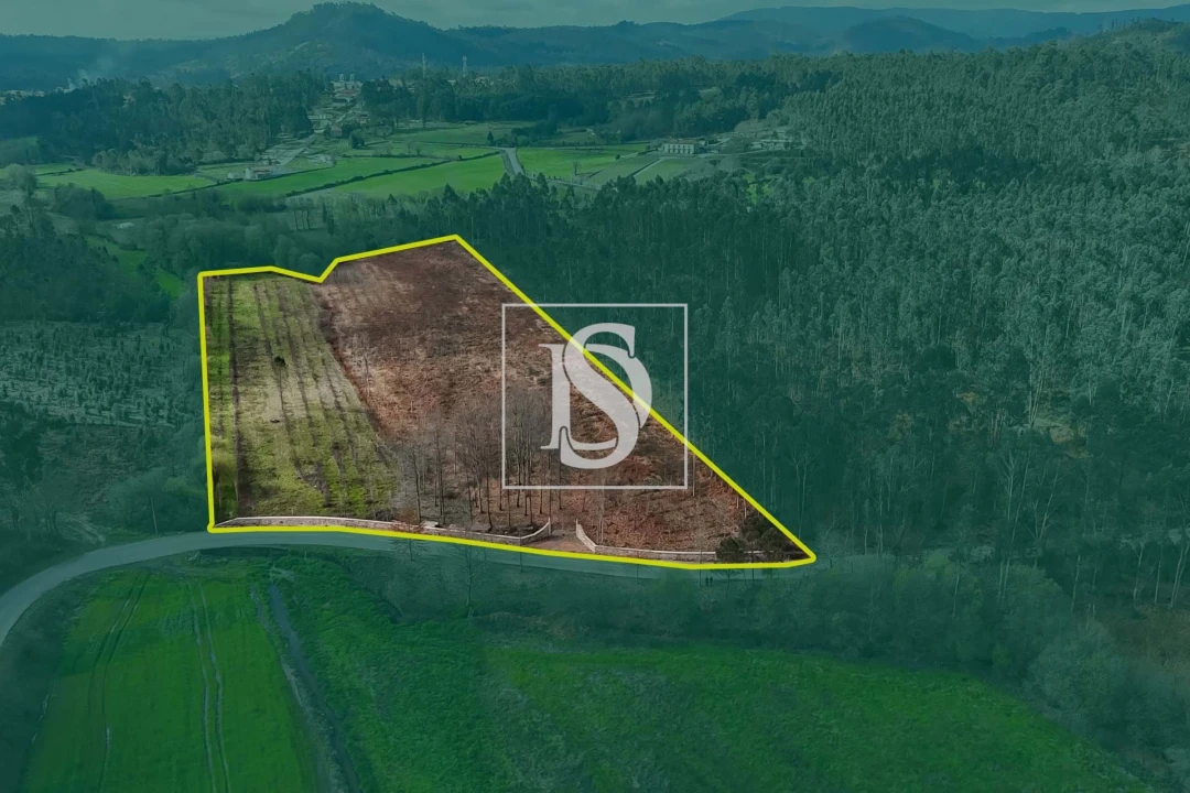 Terreno para Venda em Arca e Ponte de Lima Foto 4