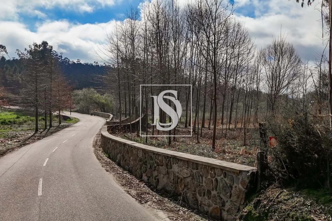 Terreno para Venda em Arca e Ponte de Lima Foto 28
