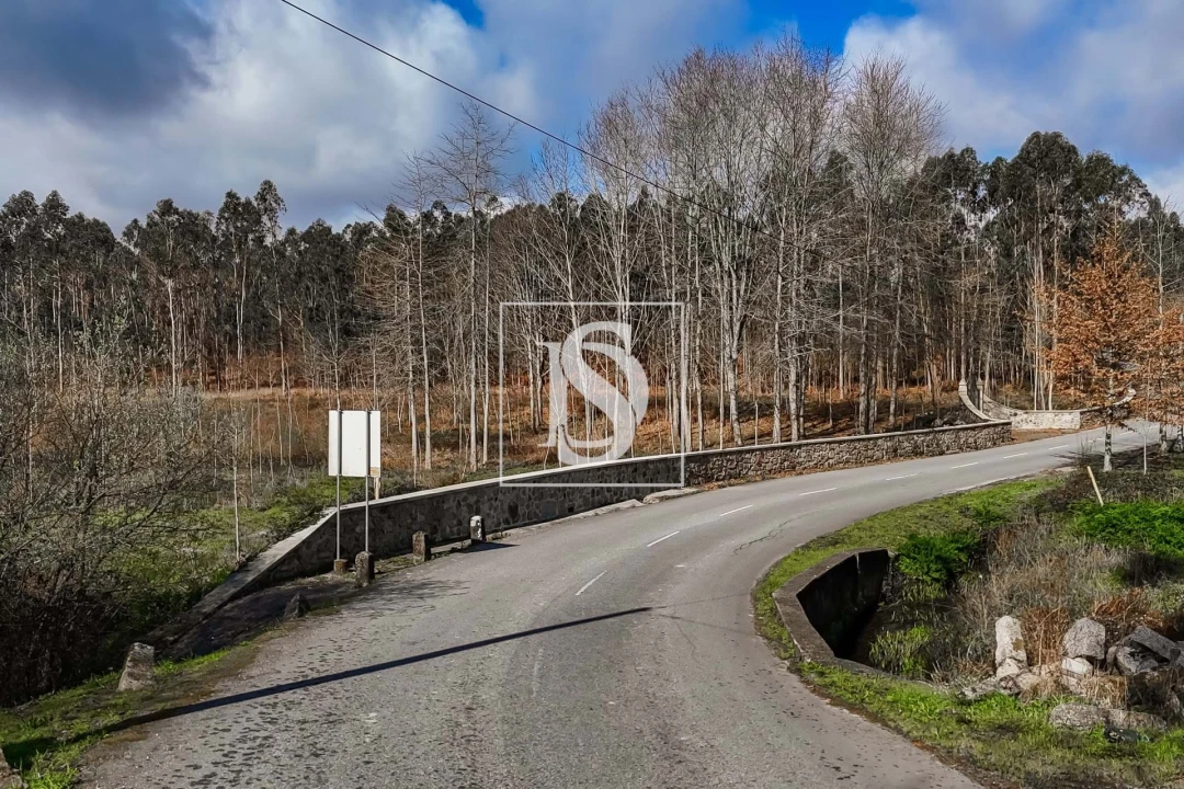 Terreno para Venda em Arca e Ponte de Lima Foto 21