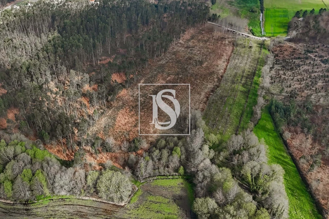 Terreno para Venda em Arca e Ponte de Lima Foto 6