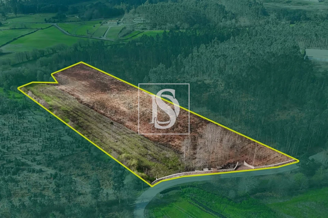 Terreno para Venda em Arca e Ponte de Lima Foto 14