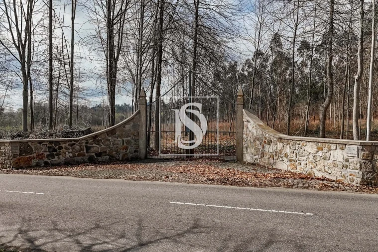 Terreno para Venda em Arca e Ponte de Lima Foto 30