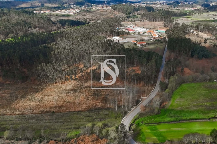 Terreno para Venda em Arca e Ponte de Lima Foto 13