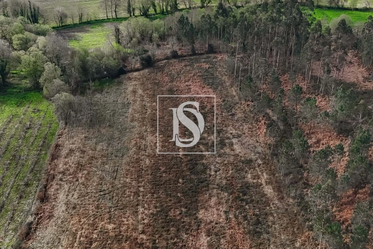 Terreno para Venda em Arca e Ponte de Lima Foto 2