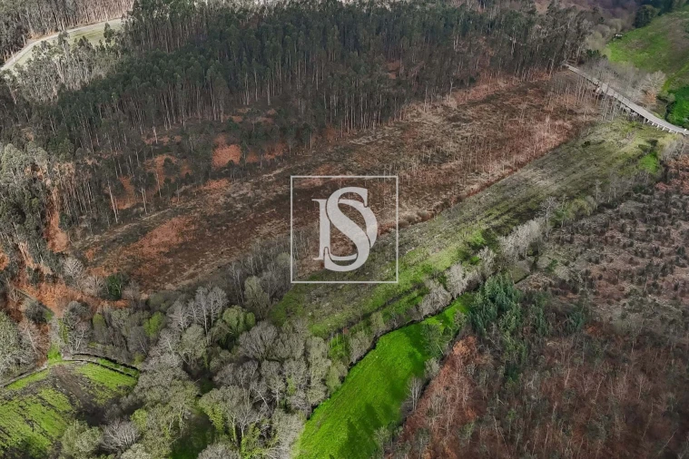 Terreno para Venda em Arca e Ponte de Lima Foto 7