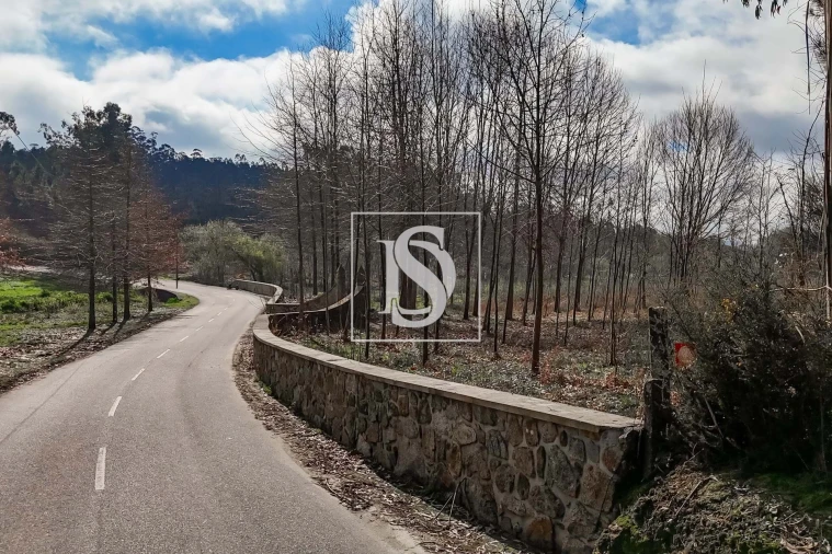 Terreno para Venda em Arca e Ponte de Lima Foto 28