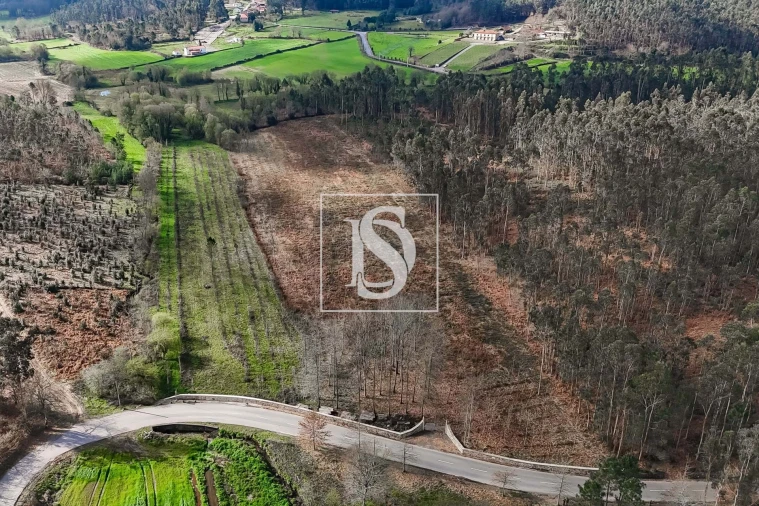 Terreno para Venda em Arca e Ponte de Lima Foto 16