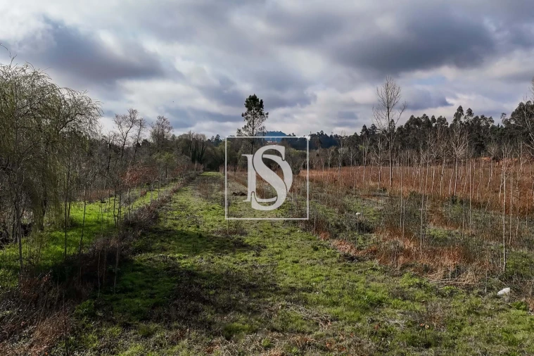 Terreno para Venda em Arca e Ponte de Lima Foto 24