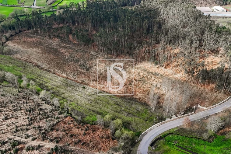 Terreno para Venda em Arca e Ponte de Lima Foto 10