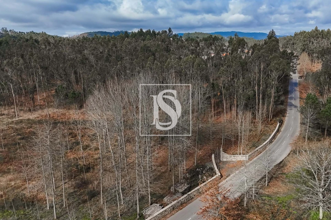 Terreno para Venda em Arca e Ponte de Lima Foto 20