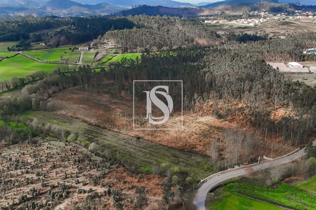 Terreno para Venda em Arca e Ponte de Lima Foto 11