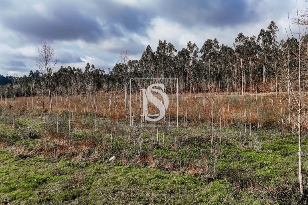 Terreno para Venda em Arca e Ponte de Lima Foto 25