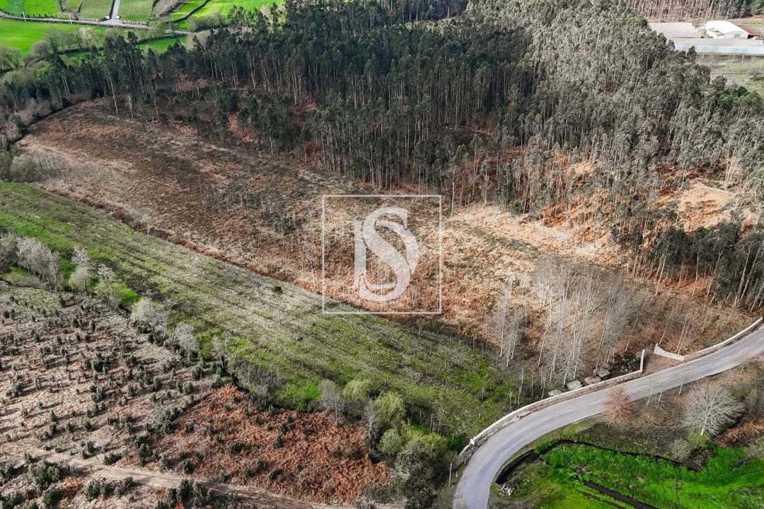 Terreno para Venda em Arca e Ponte de Lima Foto 10