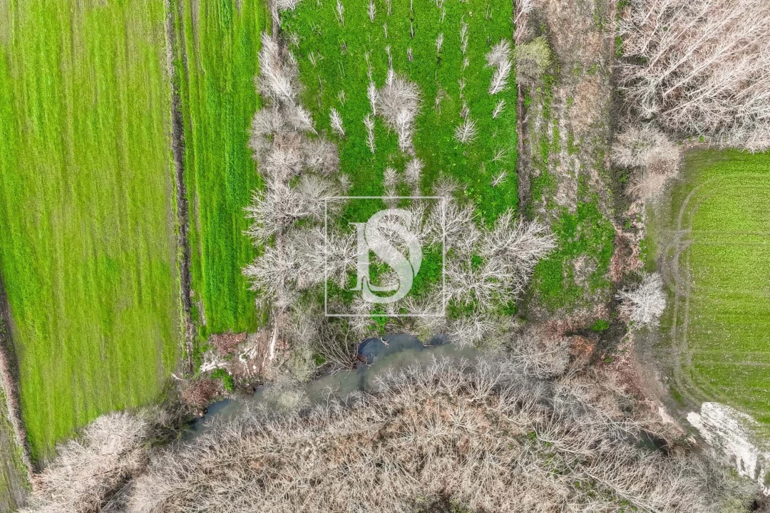 Terreno para Venda em Arca e Ponte de Lima Foto 9