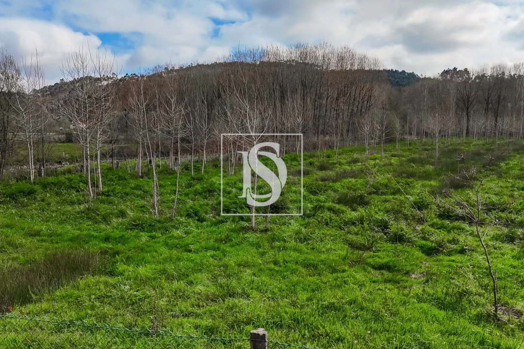 Terreno para Venda em Arca e Ponte de Lima Foto 15