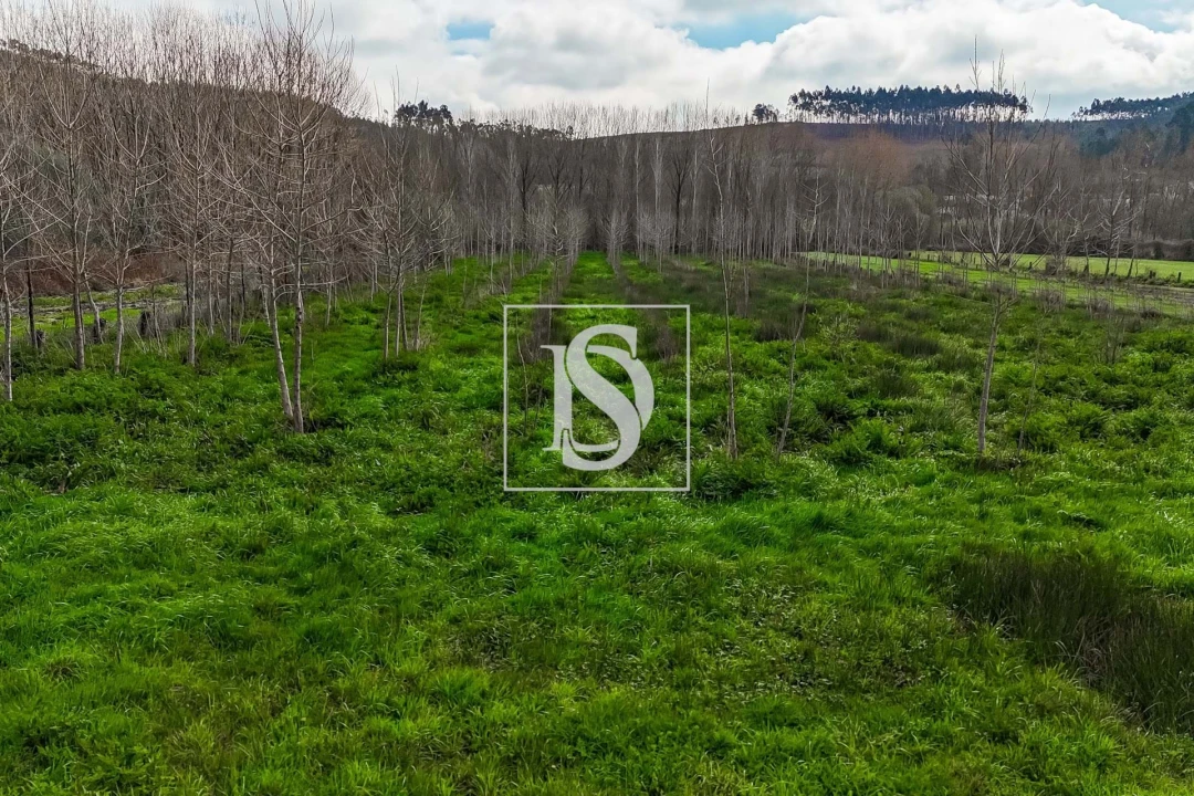 Terreno para Venda em Arca e Ponte de Lima Foto 11