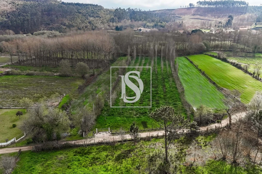 Terreno para Venda em Arca e Ponte de Lima Foto 4