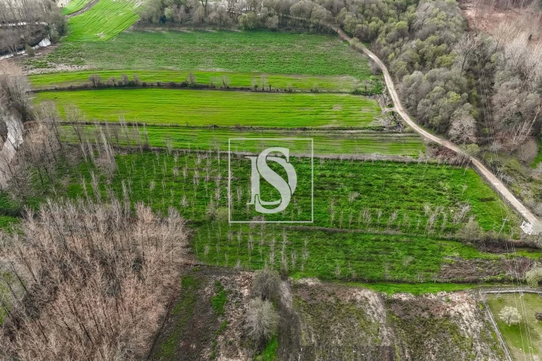Terreno para Venda em Arca e Ponte de Lima Foto 10