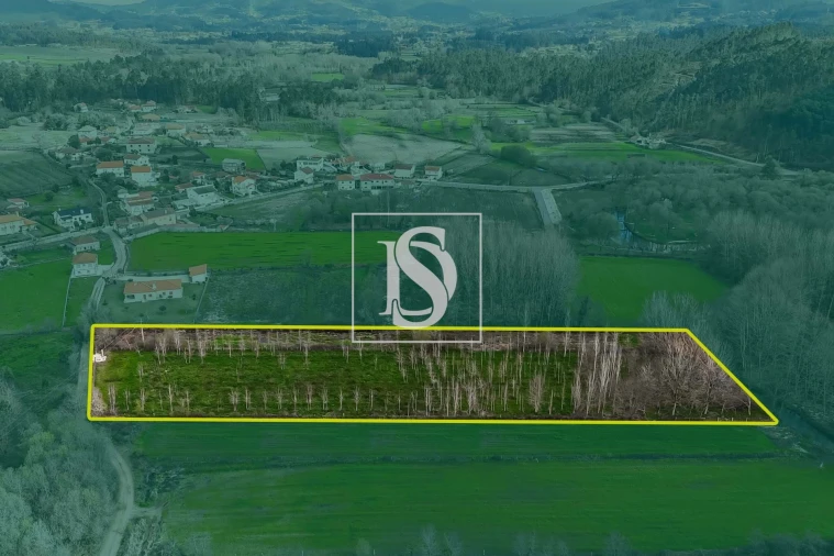 Terreno para Venda em Arca e Ponte de Lima Foto 5