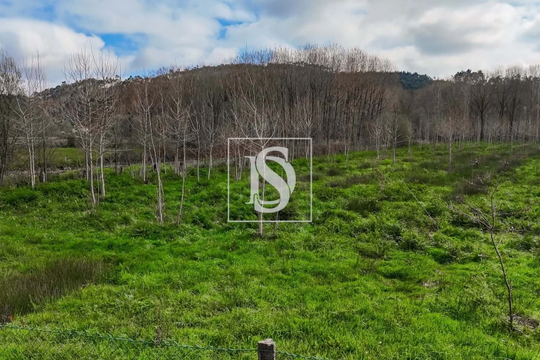 Terreno para Venda em Arca e Ponte de Lima Foto 15