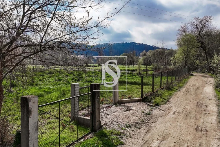 Terreno para Venda em Arca e Ponte de Lima Foto 1