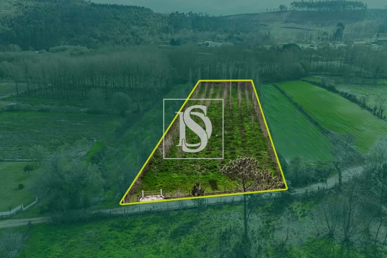 Terreno para Venda em Arca e Ponte de Lima Foto 3