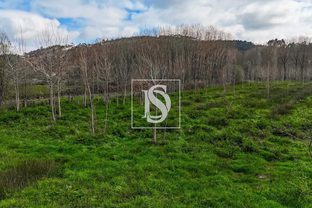 Terreno para Venda em Arca e Ponte de Lima Foto 13