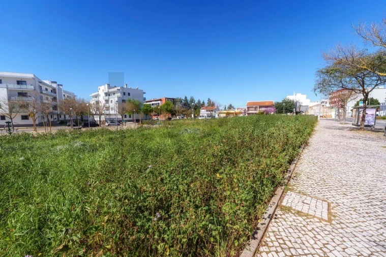 Terreno para Venda em Loule (São Clemente) Foto 9