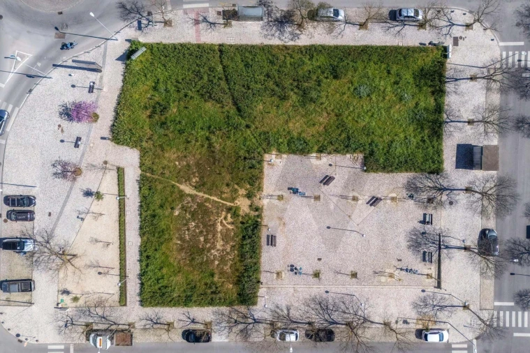 Terreno para Venda em Loule (São Clemente) Foto 15