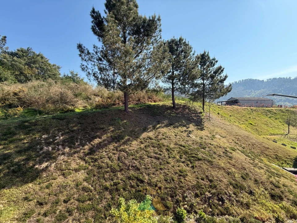 Apartamento T3 para Venda em Arcos de Valdevez (São Paio) e Giela Foto 39