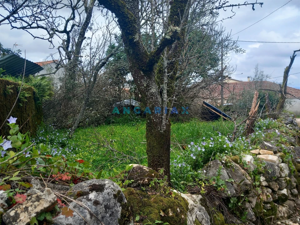 Quinta T0 para Venda em Santiago da Guarda Foto 6