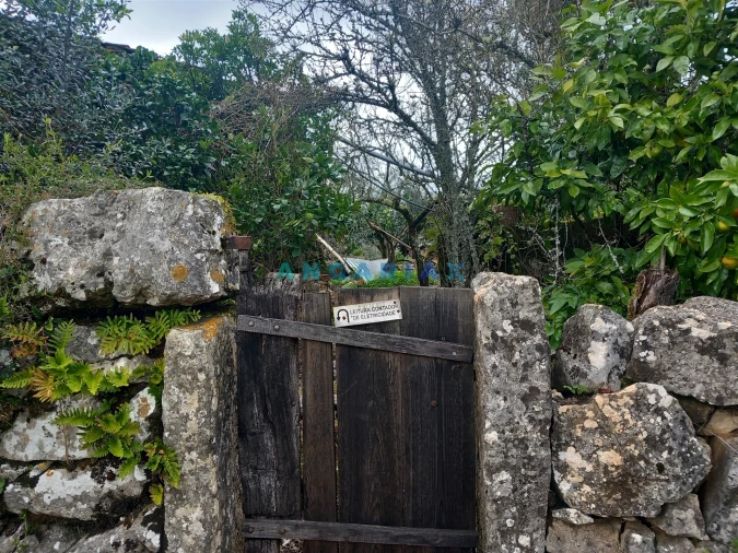 Quinta T0 para Venda em Santiago da Guarda Foto 5