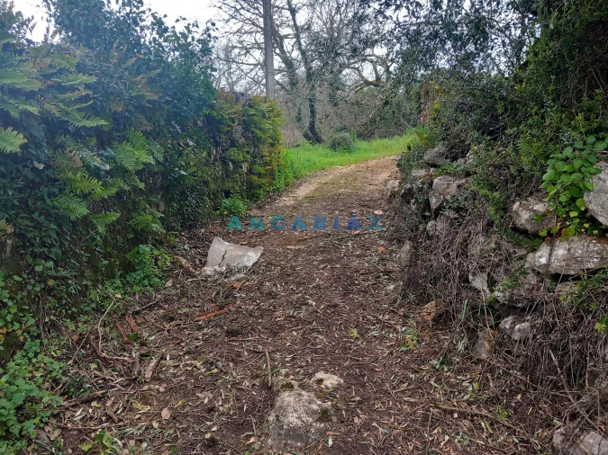 Quinta T0 para Venda em Santiago da Guarda Foto 4