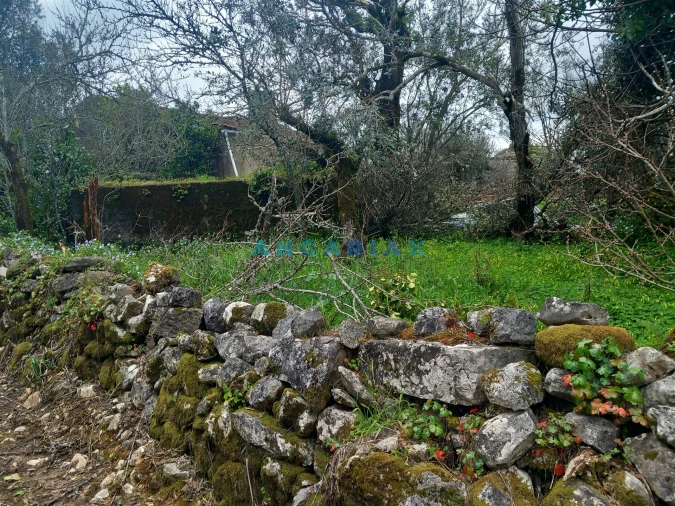 Quinta T0 para Venda em Santiago da Guarda Foto 7