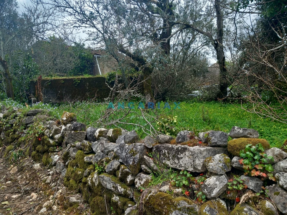 Quinta T0 para Venda em Santiago da Guarda Foto 7
