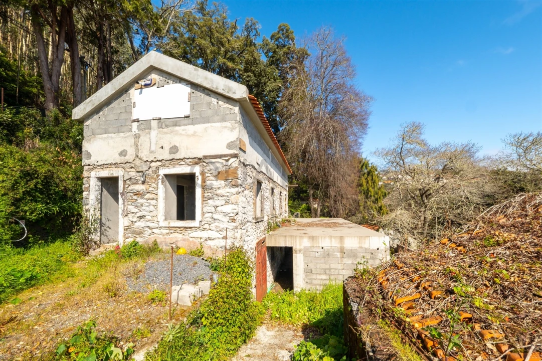 Moradia T3 para Venda em Camacha Foto 9