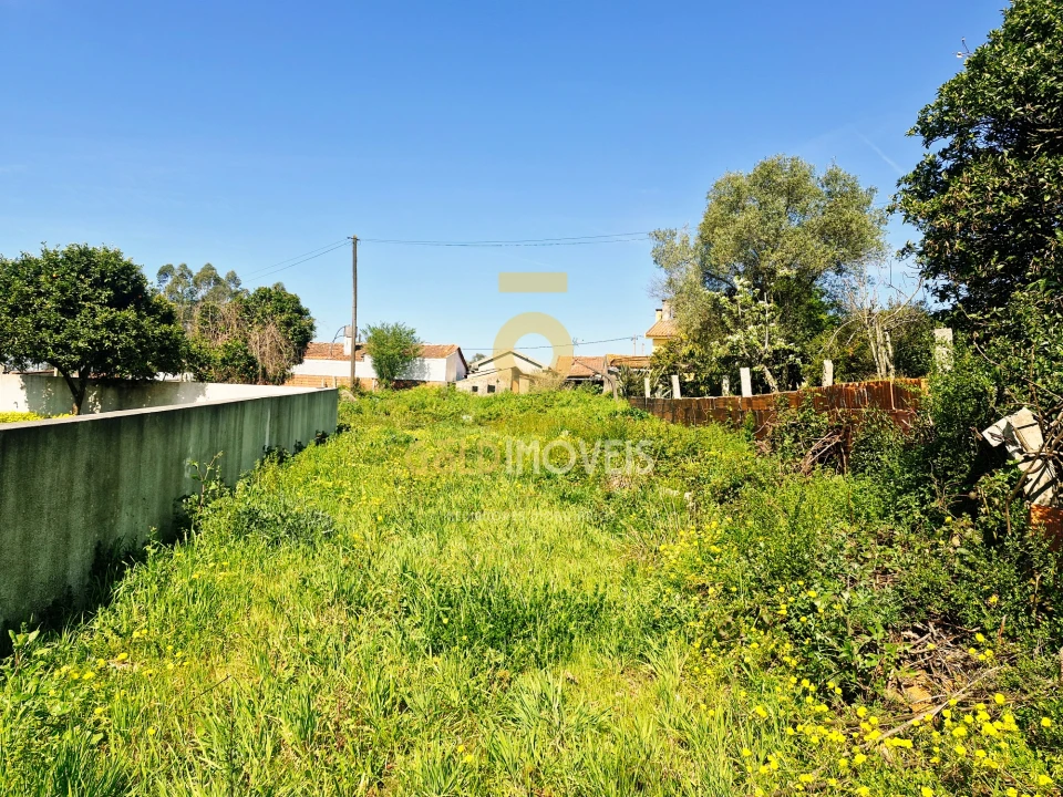 Moradia T2 para Venda em O. Azeméis, Riba-Ul, Ul, Macinhata Seixa, Madail Foto 3