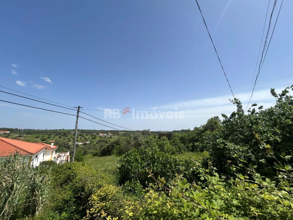 Terreno para Venda em Assentiz Foto 7