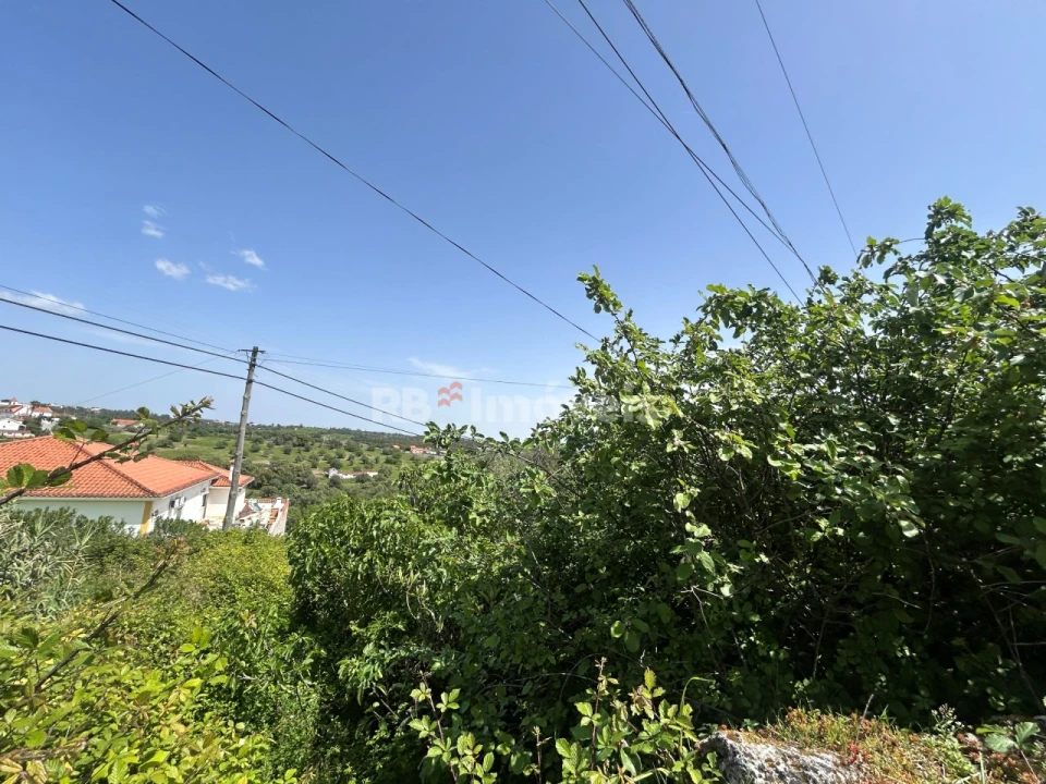 Terreno para Venda em Assentiz Foto 8