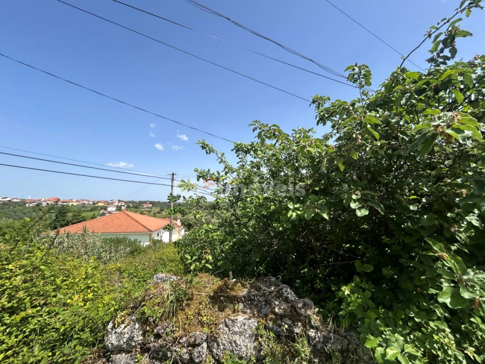 Terreno para Venda em Assentiz Foto 9