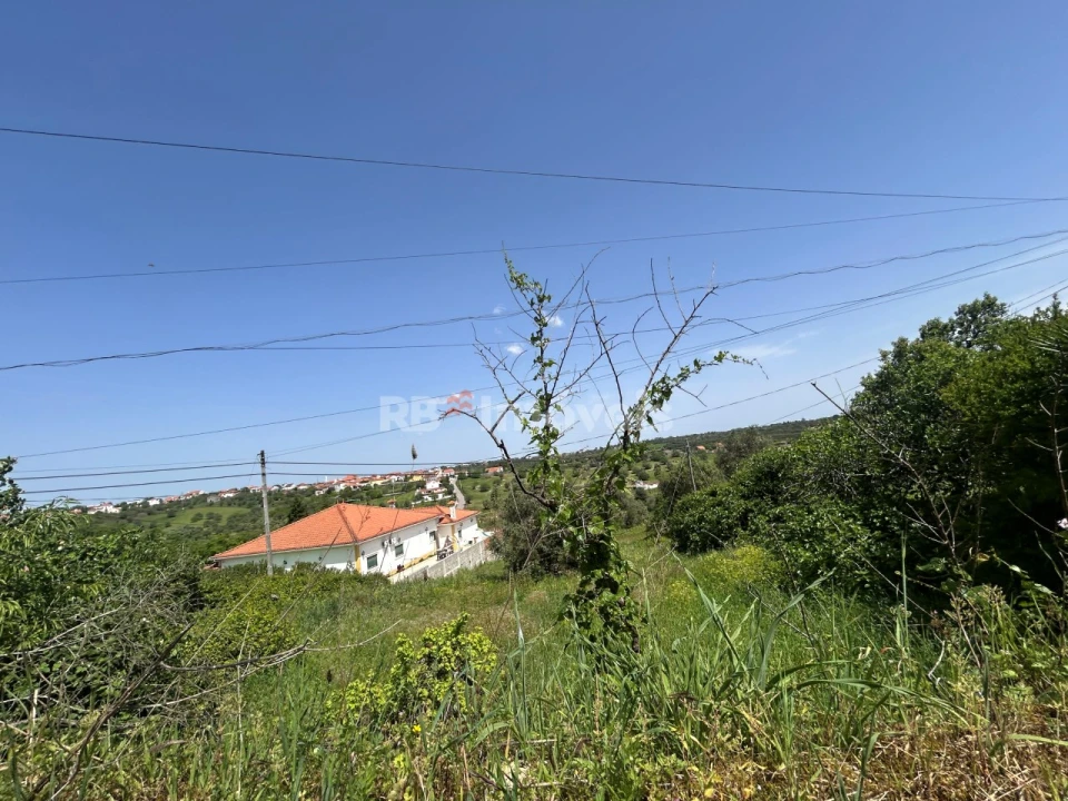 Terreno para Venda em Assentiz Foto 11