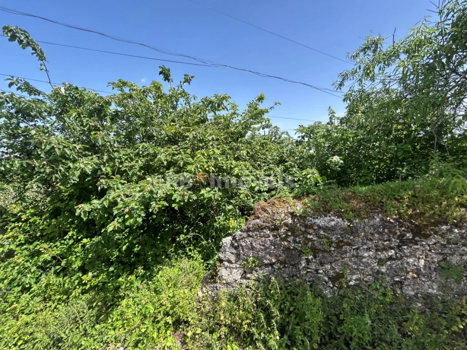 Terreno para Venda em Assentiz Foto 12