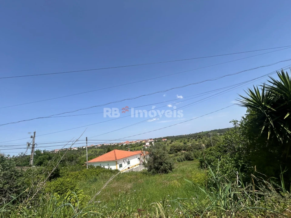 Terreno para Venda em Assentiz Foto 13