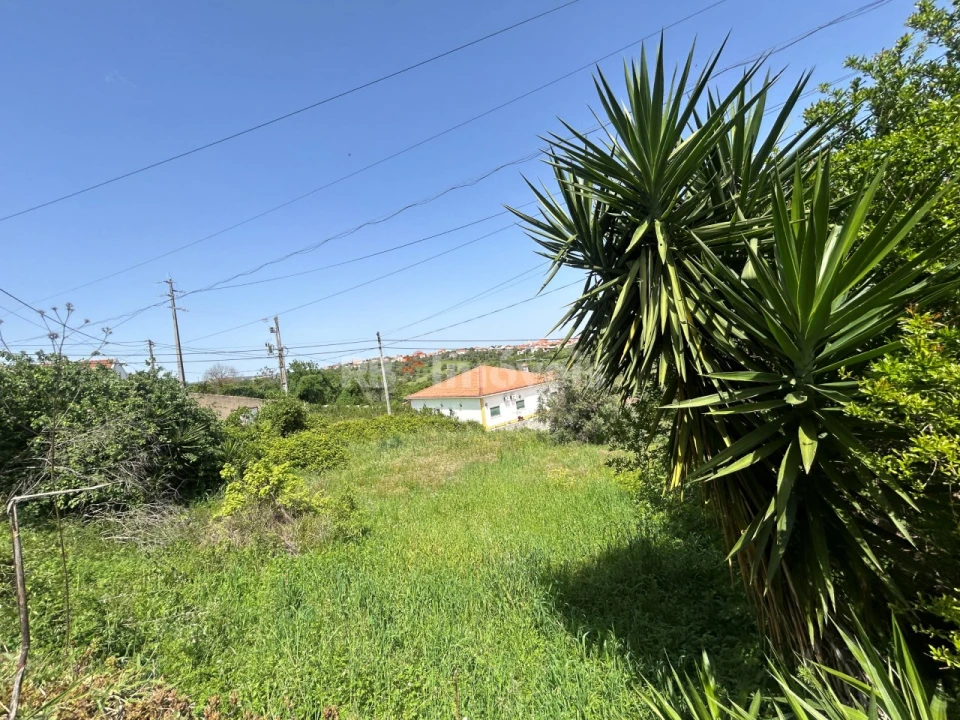 Terreno para Venda em Assentiz Foto 15