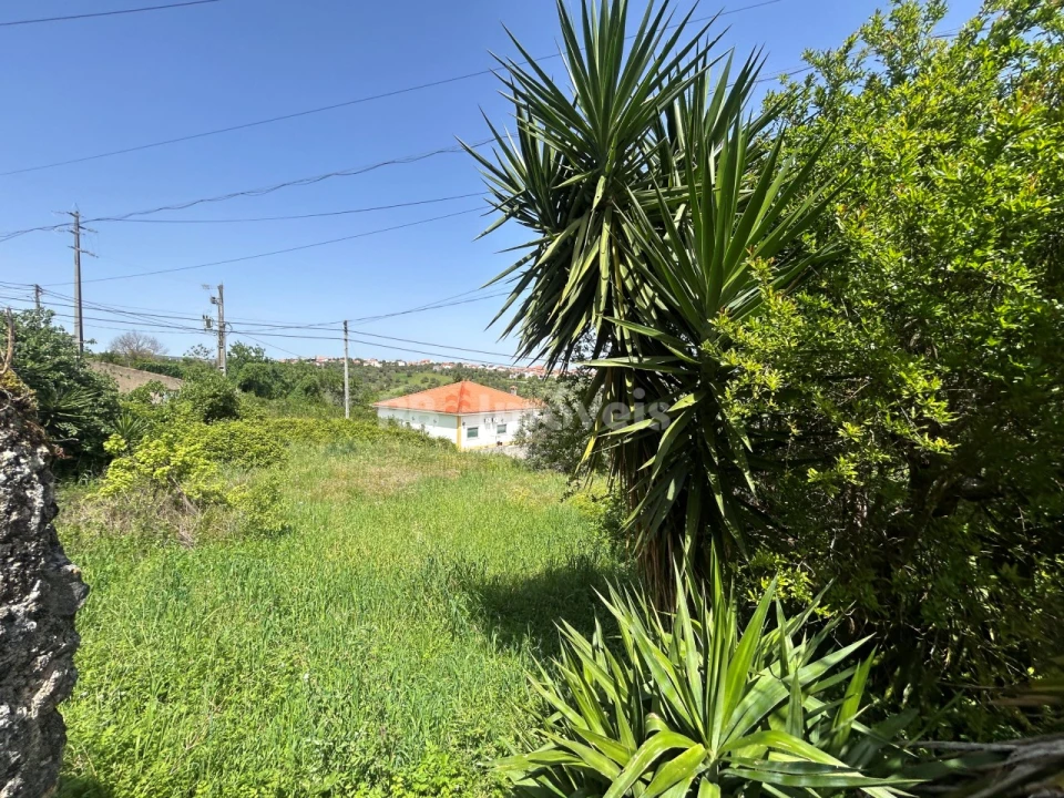 Terreno para Venda em Assentiz Foto 18