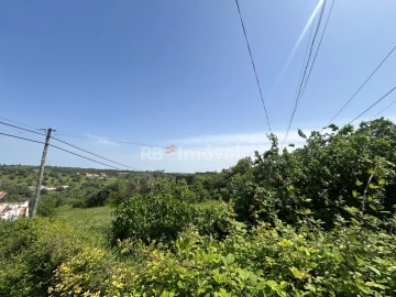 Terreno para Venda em Assentiz