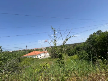 Terreno para Venda em Assentiz