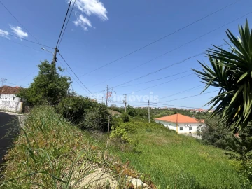 Terreno para Venda em Assentiz